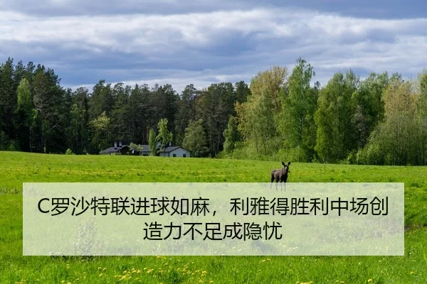C罗沙特联进球如麻，利雅得胜利中场创造力不足成隐忧