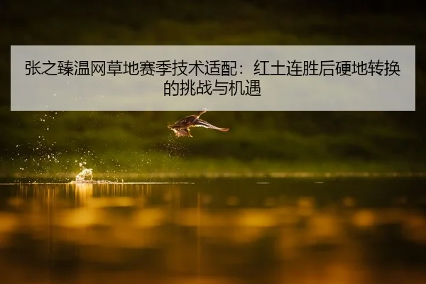 张之臻温网草地赛季技术适配：红土连胜后硬地转换的挑战与机遇
