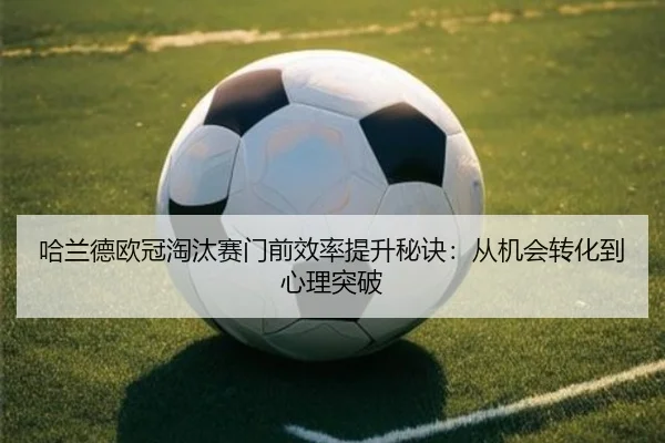 ha-lan-de-ou-guan-tao-tai-sai-men-qian-xiao-lv-ti-sheng-mi-jue-cong-ji-hui-zhuan-hua-dao-xin-li-tu-po-2-612.jpg