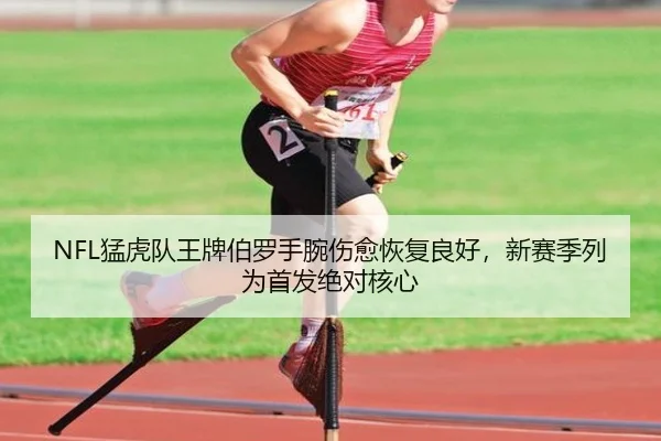 meng-hu-dui-wang-pai-bo-luo-shou-wan-shang-yu-hui-fu-liang-hao-xin-sai-ji-lie-wei-shou-fa-jue-dui-he-xin-2-137.jpg
