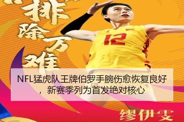 meng-hu-dui-wang-pai-bo-luo-shou-wan-shang-yu-hui-fu-liang-hao-xin-sai-ji-lie-wei-shou-fa-jue-dui-he-xin-3-668.jpg