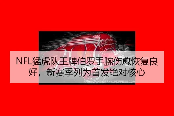 NFL猛虎队王牌伯罗手腕伤愈恢复良好，新赛季列为首发绝对核心