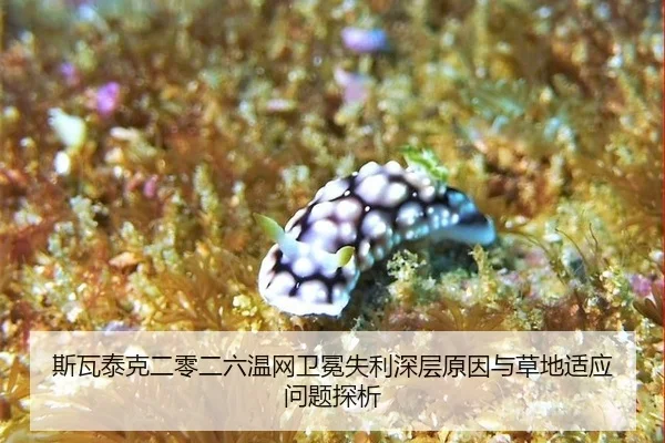 si-wa-tai-ke-er-ling-er-liu-wen-wang-wei-mian-shi-li-shen-ceng-yuan-yin-yu-cao-di-shi-ying-wen-ti-tan-xi-3-871.jpg