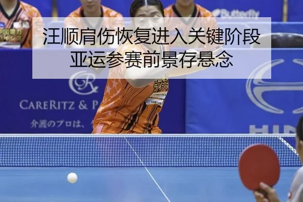 wang-shun-jian-shang-hui-fu-jin-ru-guan-jian-jie-duan-ya-yun-can-sai-qian-jing-cun-xuan-nian-2-453.jpg