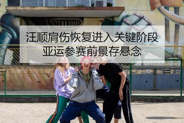 汪顺肩伤恢复进入关键阶段 亚运参赛前景存悬念