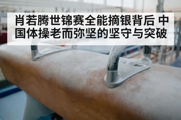 肖若腾世锦赛全能摘银背后 中国体操老而弥坚的坚守与突破