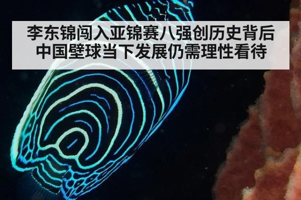 李东锦闯入亚锦赛八强创历史背后中国壁球当下发展仍需理性看待